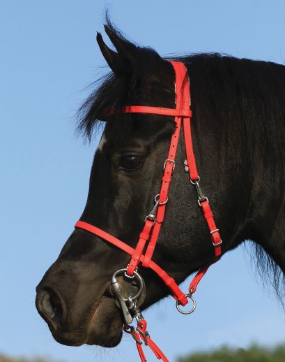 Endurance Bridles