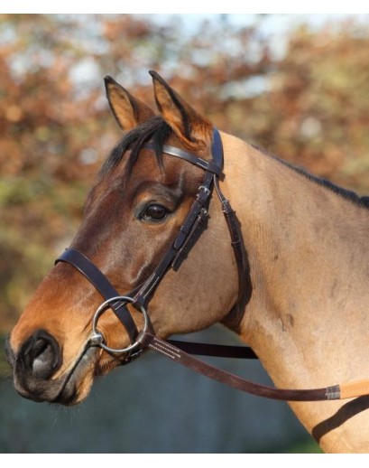 Racing Bridles
