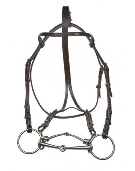 EJ Wicks Citation Bridle