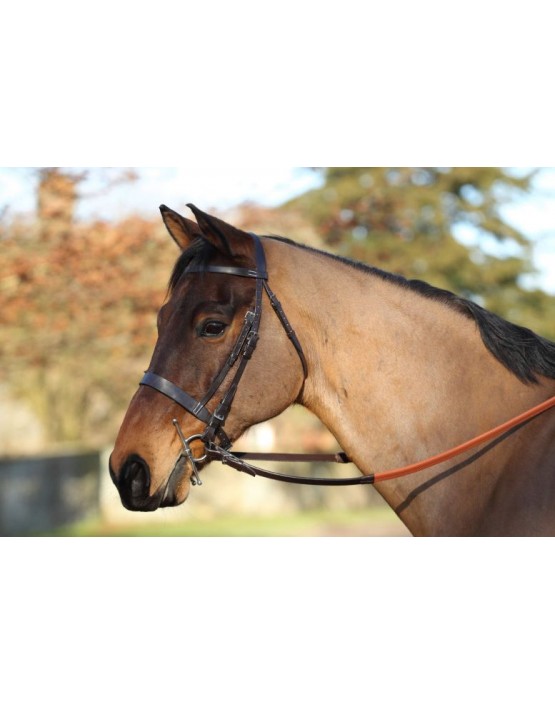 EJ Wicks 5* Exercise Bridle