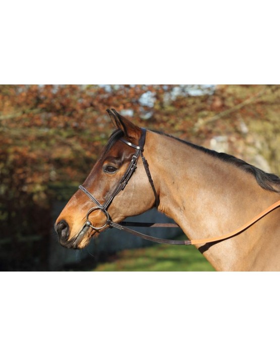 EJ Wicks 5* Race Bridle