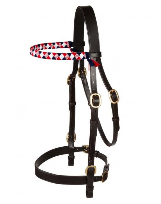 EJ Wicks In-Hand Bridle