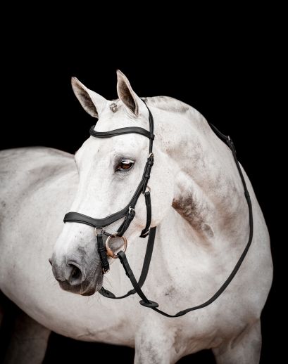General Bridles
