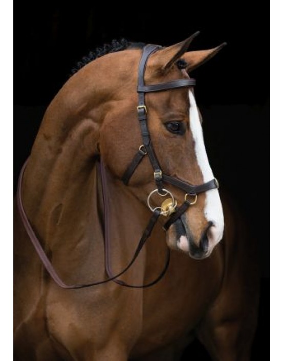 Horseware Rambo Micklem® Multibridle