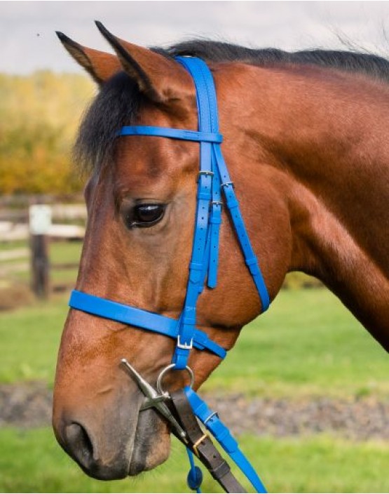 Zilco Epsom Bridle with Cavesson