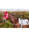 Zilco Epsom Bridle with Cavesson