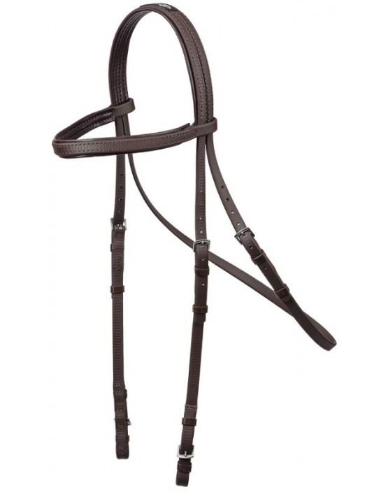 Zilco Training Bridle