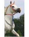 Zilco Endurance Martingale