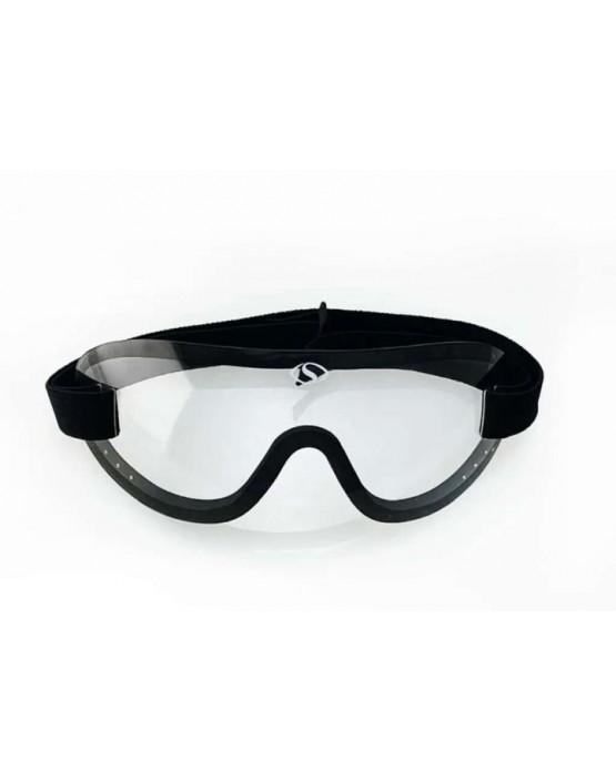 Shore Goggles Clear