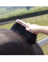 Ezi-Groom Premium Long Dandy Brush