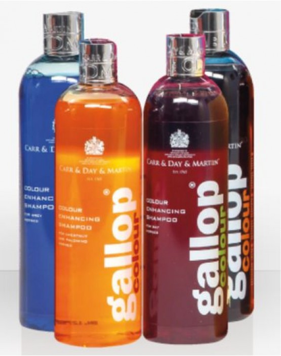 Gallop Colour Enhancing Shampoo