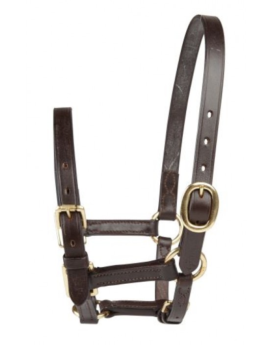 EJ Wicks 1st Foal Headcollar