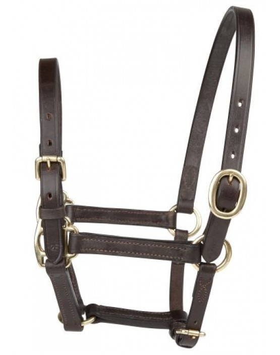 EJ Wicks 2nd Foal Headcollar