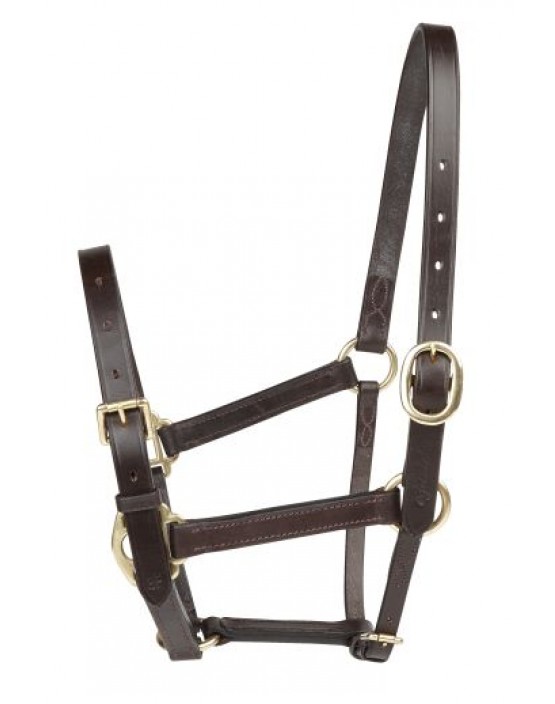 EJ Wicks 3rd Foal Headcollar