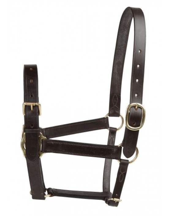 EJ Wicks Horses in Training Headcollar