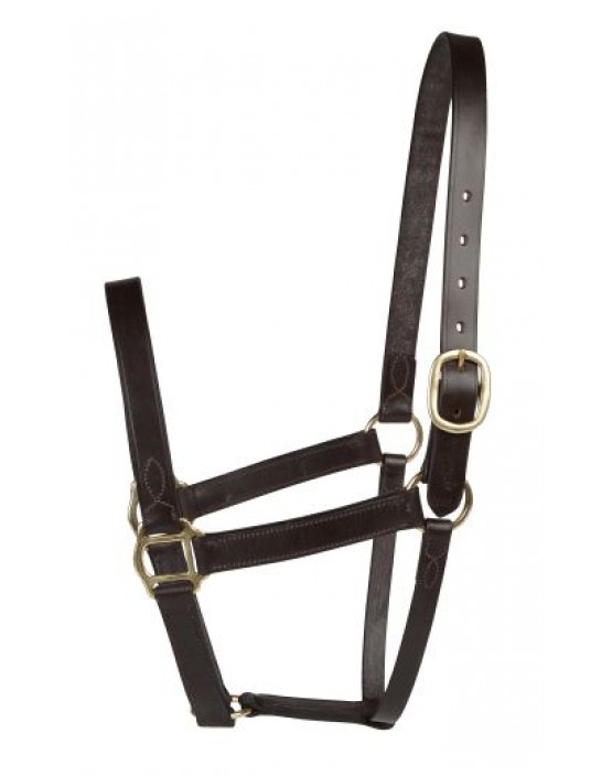 EJ Wicks Mares Headcollar