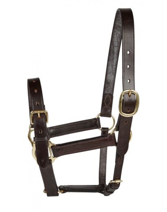 EJ Wicks Yearling Headcollar