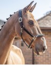 Henry James Comfort 3D Air Headcollar