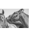 Henry James Comfort 3D Air Headcollar