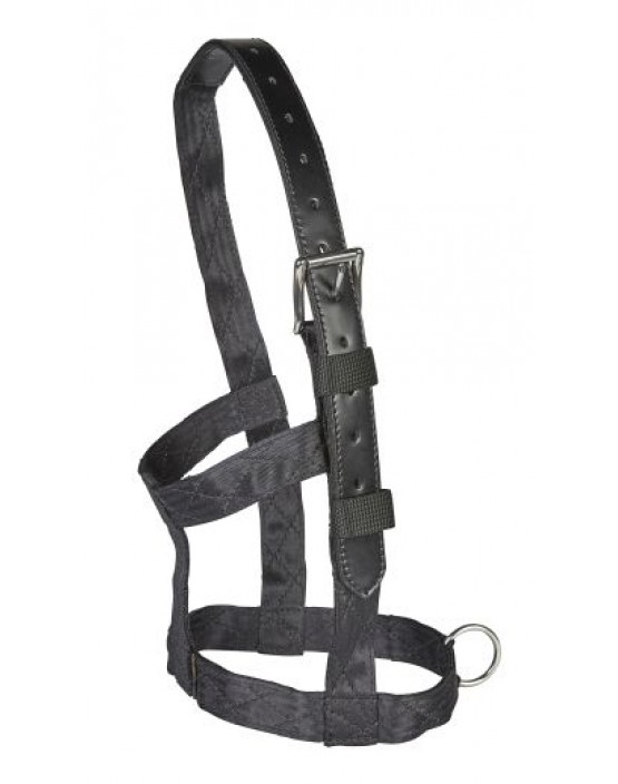 EJ Wicks Recovery Headcollar