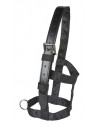 EJ Wicks Recovery Headcollar