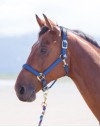 Topaz Headcollar