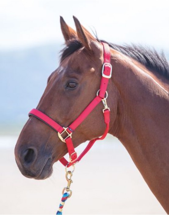 Topaz Headcollar