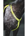 Equi-Flector Breastplate