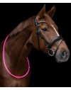 Waldhausen LED Neck Band