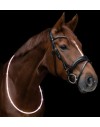 Waldhausen LED Neck Band