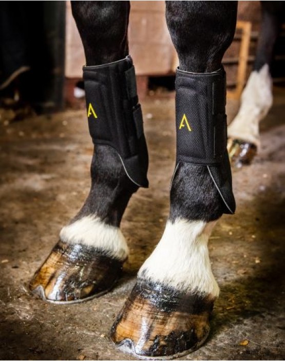 Horseware Adagio Boots