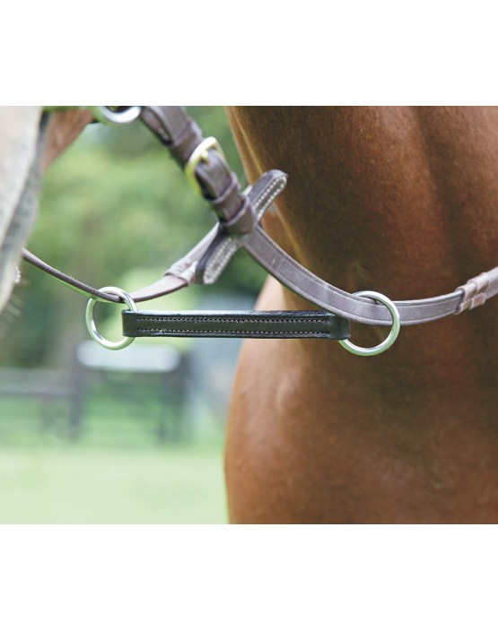 Irish Martingale