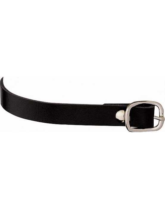 Leather Spur Straps