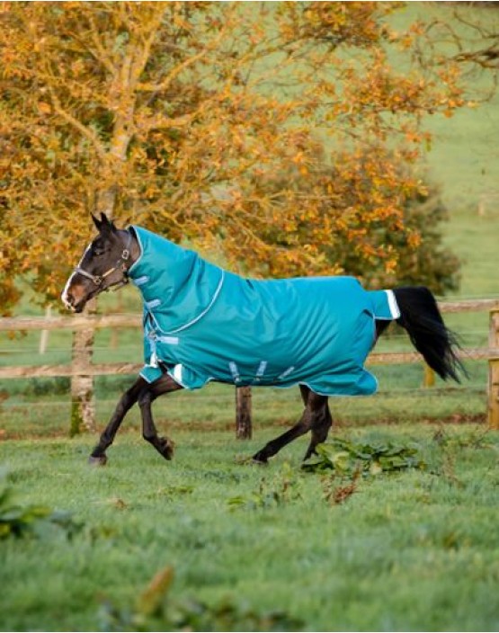 Horseware Amigo Bravo 12 Plus Heavy Weight Rug