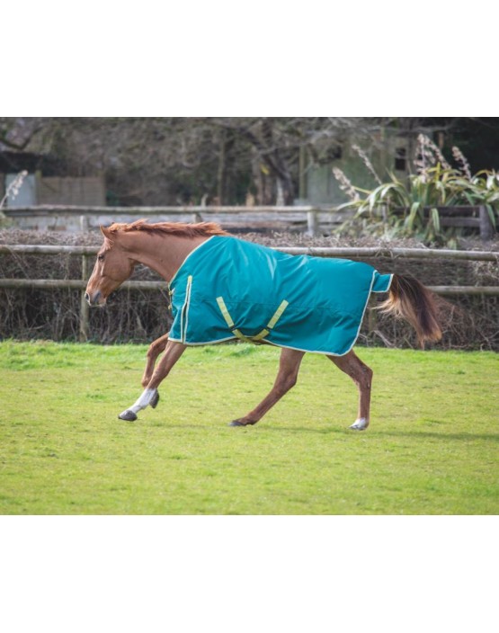 Bridleway Ontario 100g Turnout Rug