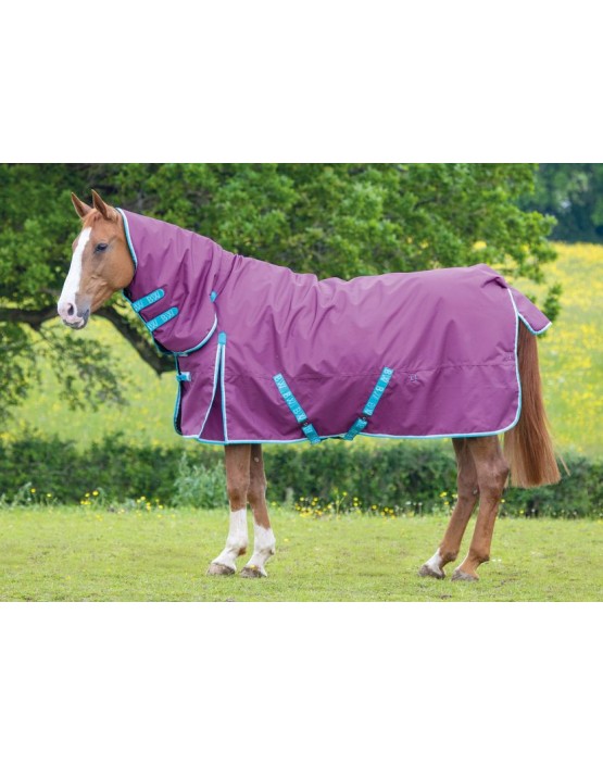 Bridleway Ontario Medium Combo Turnout Rug