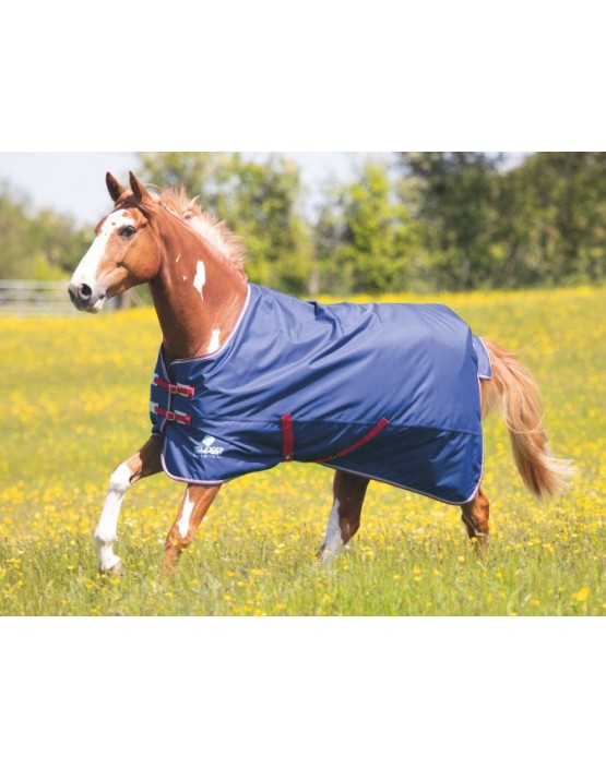 Shires Tempest Original Air Motion Turnout