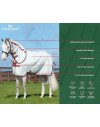 Horseware Amigo Summer Sheet Plus