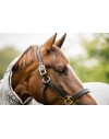 Horseware Rambo Protector Plus