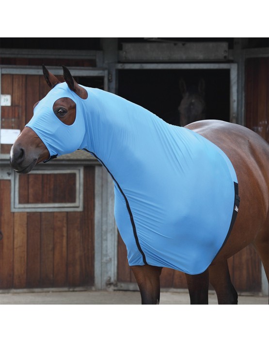 Shires Stretch Hood with Full Face