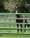 Duracorral Turnout Pen