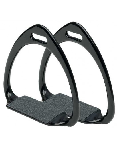 Stirrup Leathers and Irons