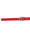 Zilco 19mm Race Stirrup Straps