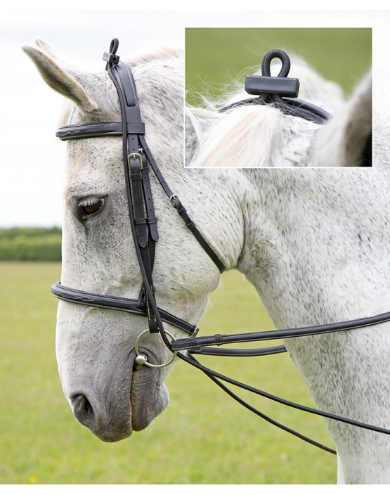 Elastic Training Reins