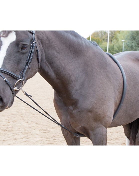 Shires Soft Lunge Aid