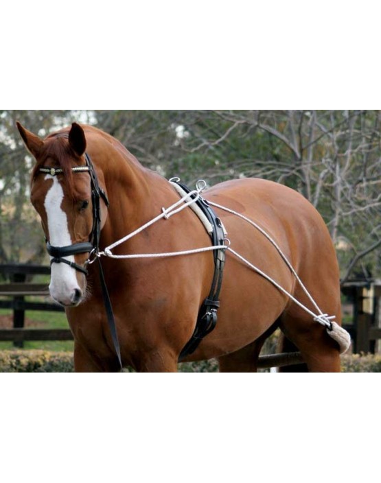New Hardy's Nylon Lunge Roller Adjustable Lunging Training with Soft Fleece full 